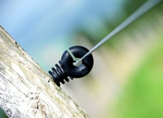 Ile Polaków mieszka w Portugalii?