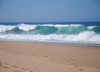 Czy w Portugalii są węże?