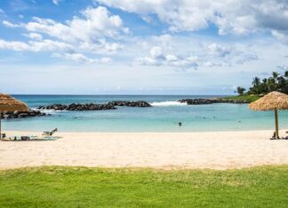 Czy jedzenie na Hawajach jest drogie?