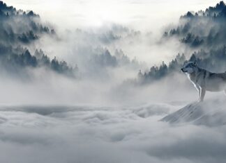 Gdzie spędzić zimę na emeryturze?