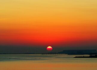 Gdzie warto zjeść w Wilnie?