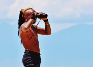 Dlaczego w Bałtyku nie ma rekinów?