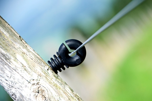 Jak nazywają Polaków na Ukrainie? Jak nazywają Polaków na Ukrainie?