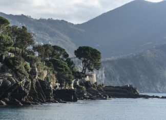 Ile kosztuje cukier na Litwie?